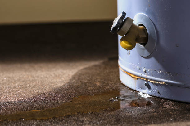 Best Water damage restoration insurance claims  in Lumberton, NC