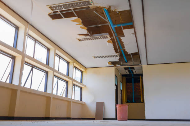 Best Local water damage restoration  in Lumberton, NC