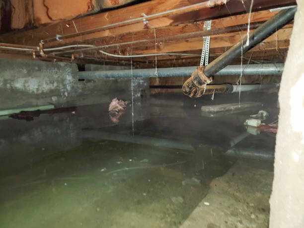 Best Professional water damage repair  in Lumberton, NC