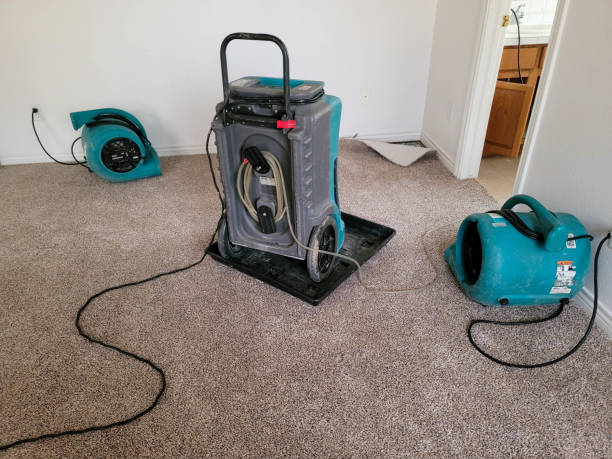 Best Basement water damage restoration  in Lumberton, NC