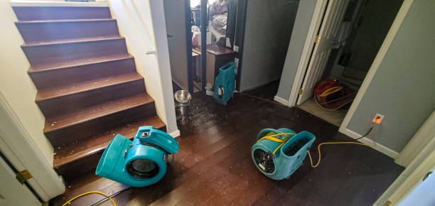 Best Flood damage cleanup  in Lumberton, NC