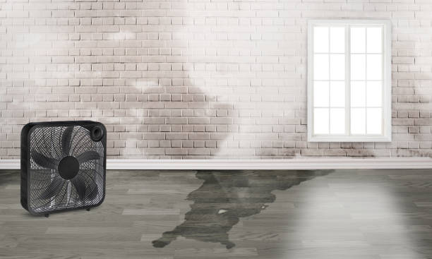 Best Sewage cleanup and water damage restoration  in Lumberton, NC