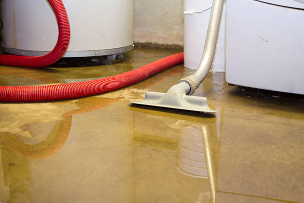 Best Water damage restoration near me  in Lumberton, NC