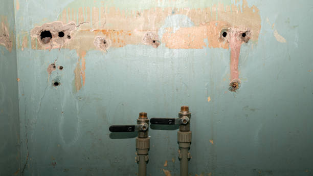Best Mold removal after water damage  in Lumberton, NC