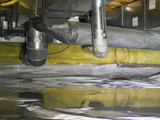 Best Water damage restoration company  in Lumberton, NC