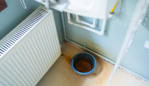 Best Mold removal after water damage  in Lumberton, NC