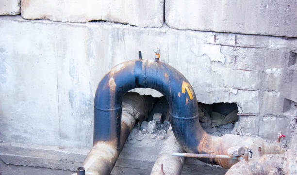 Best Professional water damage repair  in Lumberton, NC