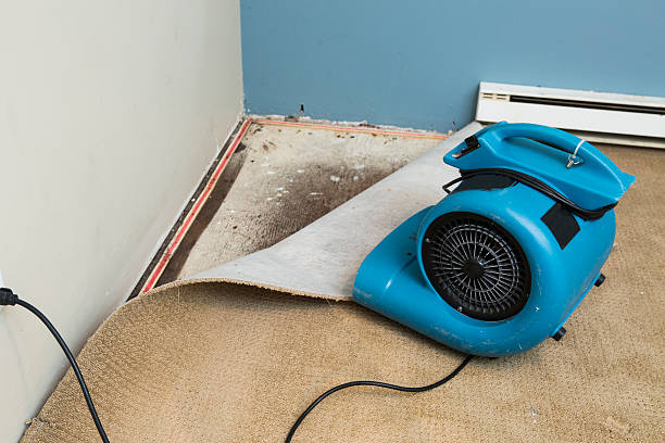 Best Flood restoration services  in Lumberton, NC